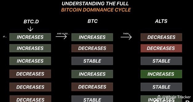 Why Altcoins Are Not Pumping While Bitcoin Soars