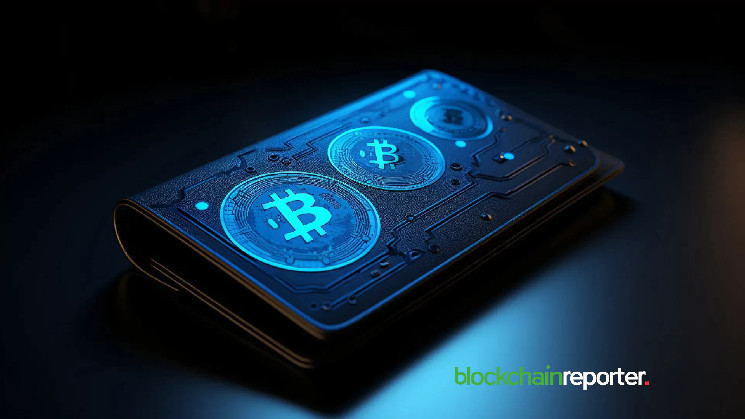 Seedless Crypto Wallets: The Future of Beginner-Friendly Onboarding